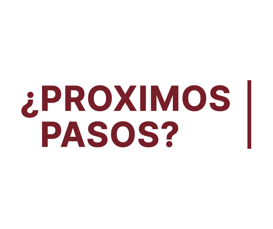 PROXIMOS-PASOS